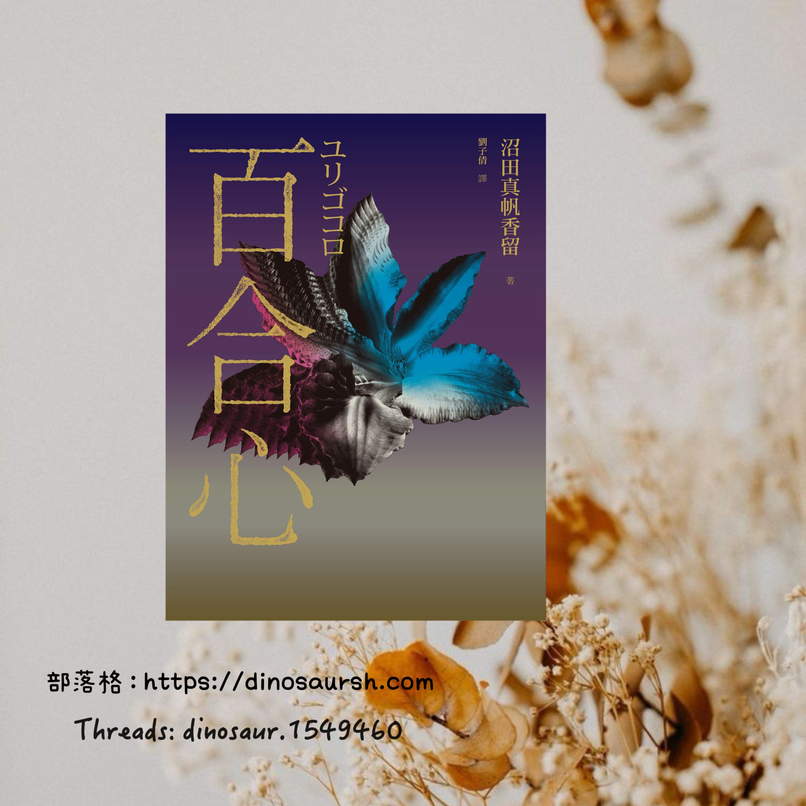 我的百合心在哪?——《百合心》